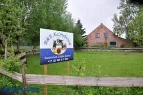 B&B Kelpiebrink - Image 3