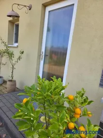 Charmantes Studio Ferienhaus mit Garten & Netflix Nähe Spreewald - Image 4