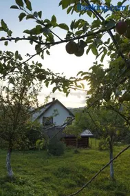 Dom przy lesie - Image 1