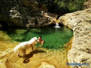 Cal Perdigués de Boada pet friendly - Image 3