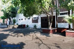Quinta Taboo - Image 2