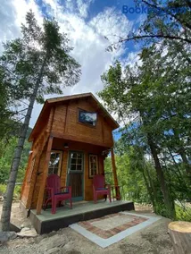 Funky Bunky - Image 5