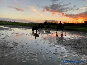The Horse Farm - Image 1