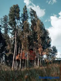 Casa en el Árbol Guatavita - Image 2