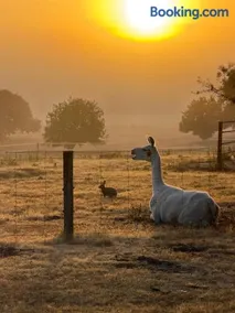 Chandelle Park Farm Stay - Image 1