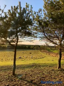 Silverspring Glamping The Shepherds Hut - Image 4