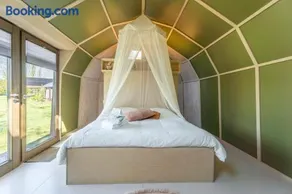 Cabin Primrose - Image 2