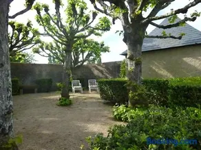 Gite du Manoir du Plessis- 3km de Villandry - Image 2