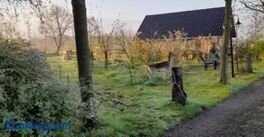 B&B Landgoed Sonneborghe - Image 4