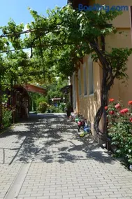 Ograda Bunicilor Sarata - Image 3
