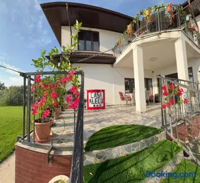 Casa Alecu - Image 4