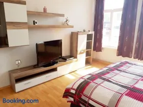 Pension Altenburg City - Image 3
