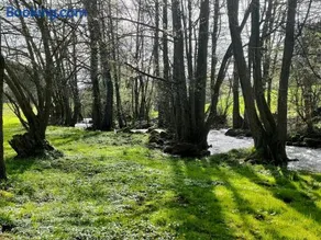 Wind in den Weiden, Übernachten am Bachlauf - Image 3