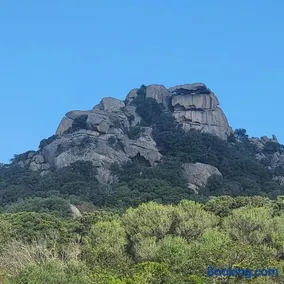 La RoseDan - Image 2