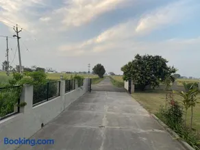 Mango Grove Farm - Image 1