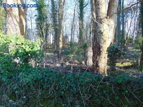 Dreamwood Cottage, Loch Lomond, Luxury Apartment. - Image 4