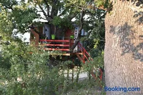 Casa sull'Albero - Image 2