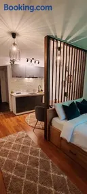 Raluca Studio Central HD - Image 1