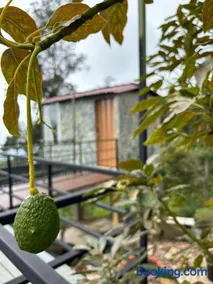 Luz de Luna Glamping - Image 5
