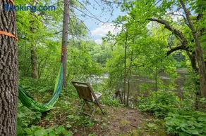 Wilderness Meadows - Image 4