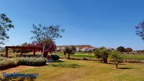 Attraente appartamento adatto alle famiglie con terrazza, piscina e giardino - Image 3