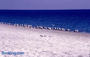 Praialinda - Image 4