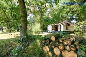 Tiny House de Berken - Image 2