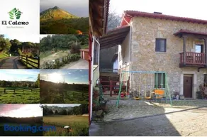 el calero - Image 3
