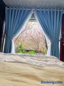 Đồi Hoa Đào cafe & homestay - Image 1