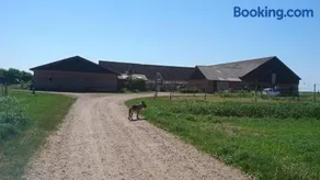 Ferienzimmervermietung Reitferien - Image 2