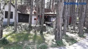 Apartman medju borovima - Image 1