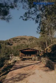 Bosco Paradiso - Image 3