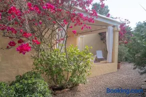 Bungalows Casa Amarilla - Image 3