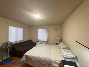 Palm Cabin - Image 2