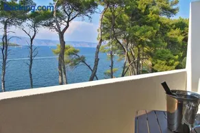 Covahouse - Image 2