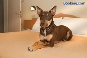 Pet Hotel Virginia - Hotel per cani - Image 2