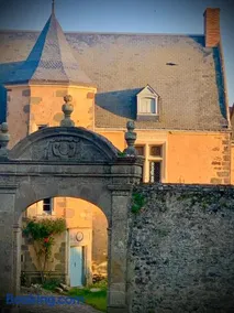 Le petit Loré - Image 3
