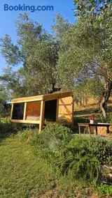 The SkyRoom - AUT vita sotto gli alberi - Image 3