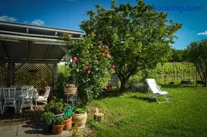 Pinot Gris House - Image 5