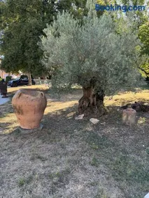 Clos la Rolline - Image 3