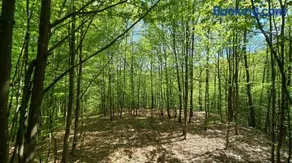 Secret Sanctuary - Image 3
