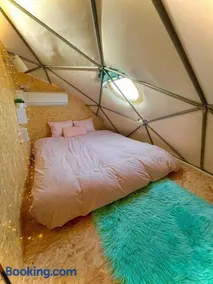 Olive Dome - כיפה גיאודזית ענקית ומודרנית בין עצי הזית - Image 2