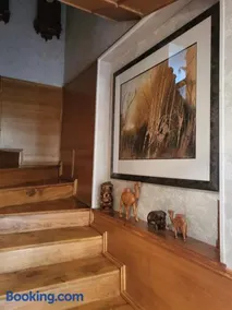 House Violeta - Image 3