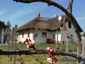 Angelic Cottage and BikePoint (A Birtok - Vendégház és Biciklis bázispont) - Image 1