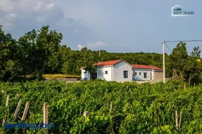 Villa New Home, villa with pool in Imotski near Makarska - Image 1