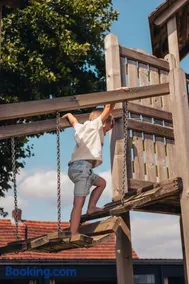 POLE POLE - Ijsbeer - Image 5