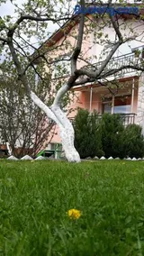 Вила Багрянови - Image 4