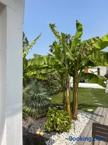 Villa Le Sud - Image 2