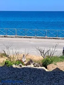 Casa Acquamarina - Image 2