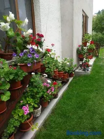 Guest house Emmy - Image 3